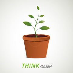 Save Nature concept with green plant in pot.