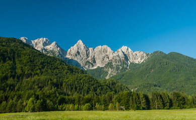 Fototapeta premium Slovenian alps