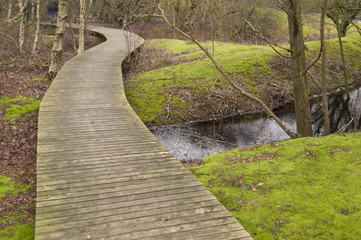 Pond on Amrum