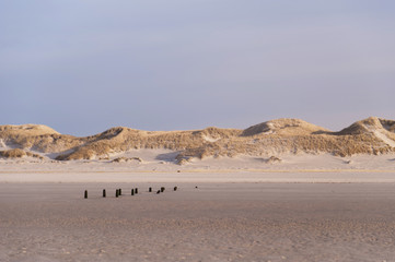 Fototapeta na wymiar Dunes on Amrum