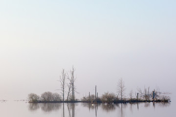 Island with trees in silhouette