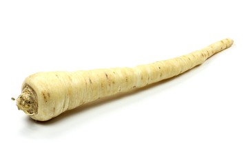 Petersilienwurzel isoliert auf weißem Hintergrund