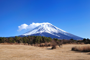 Plakat 富士山
