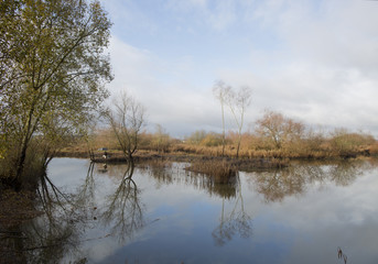Park of tabueira,Aveiro Portugal
