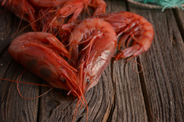 Camarón Shrimp Gambero rosso