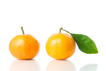 Orange fruit isolated