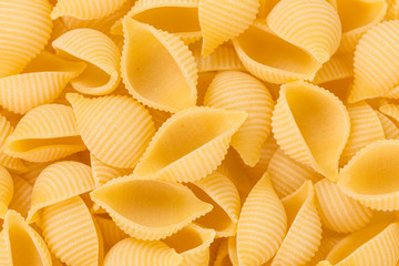 conchiglie pasta shell