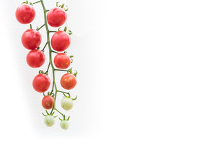 organic cherry tomatoes, isolated on white background