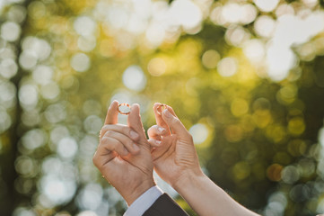 Hands with wedding rings 1622.