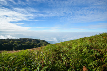 Fototapeta na wymiar Green field on mountain landscape with blue sky