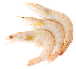 three prawns
