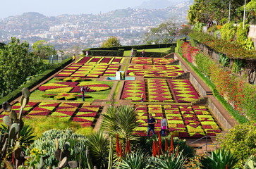 madeira © fotobild40