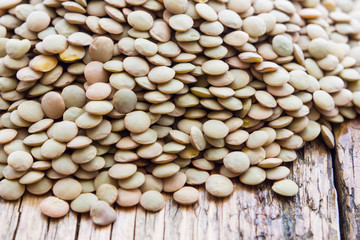 Legumes