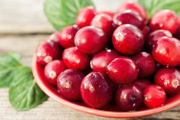 Close-up of ripe cranberries with mint leafs
