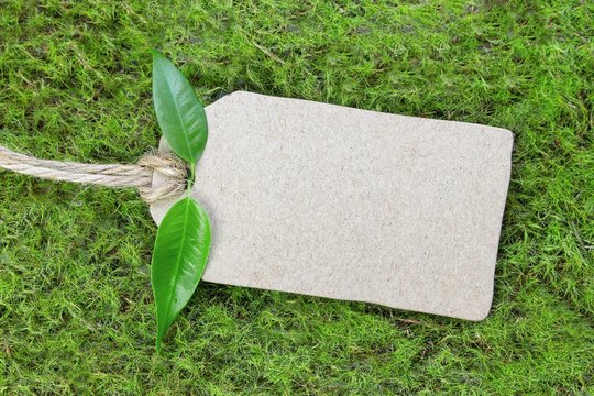 Anh&auml;nger mit Textfreiraum - Konzept Natur
