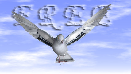 Free Dove in the air with wings wide open