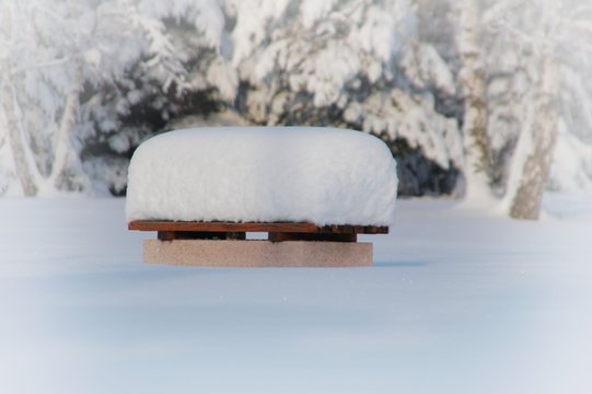 「Schneehaube」の写真素材 | 887件の無料イラスト画像 | Adobe Stock 「Schneehaube」の写真素材 | 887件の無料イラスト画像 | Adobe Stock