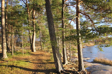 Waldsee