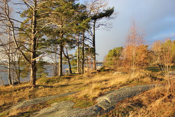 Fototapeta premium Lichteinfall