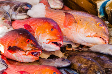 Fresh fish at the fish market in Hurghada. Egypt
