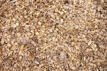 Dry wood chips from leaves trees, nature texture