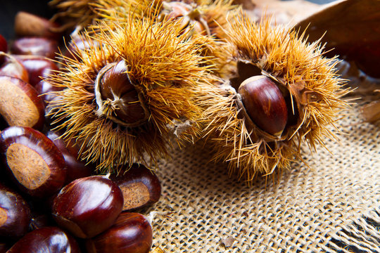 Chestnuts on an old board.