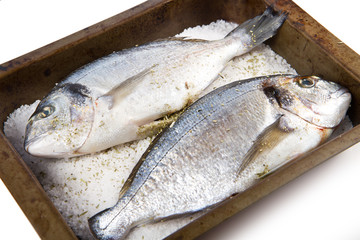 Gilt head sea bream baked in sea salt