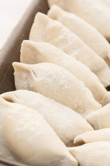 frozen dumpling