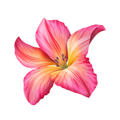 Naklejka premium abstract pink flower illustration isolated on white