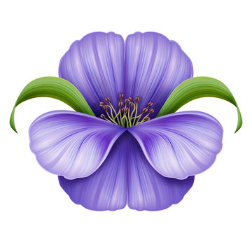 abstract violet flower illustration isolated on white