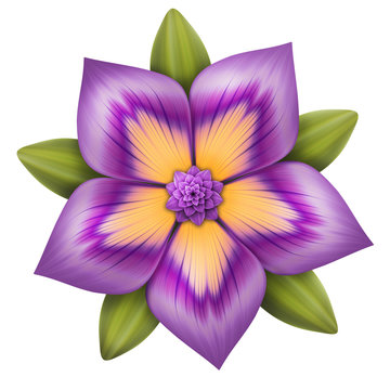 Fototapeta abstract purple flower illustration isolated on white
