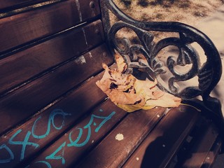 empty bench with leave and graffitti