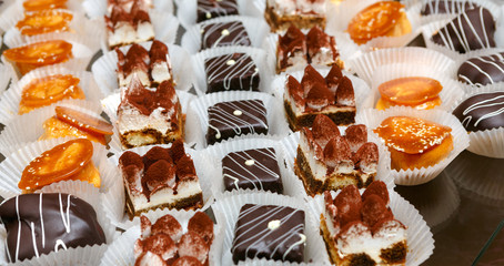 Catering - served table with tiramisu and other desserts. Closeu
