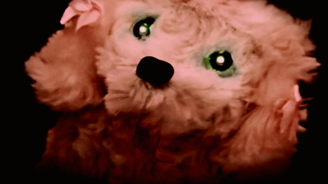 Toy from hell dog catching you fast