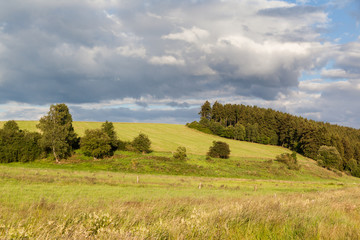 Harzlandschaft Sommerwiese