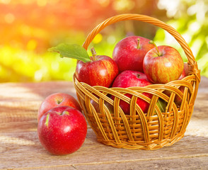 Organic apples in basket in summer grass. Fresh apples in nature