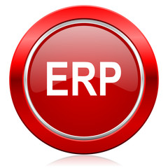 erp icon