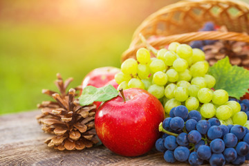 Autumn nature concept. Fall fruit and vegetables on wood.