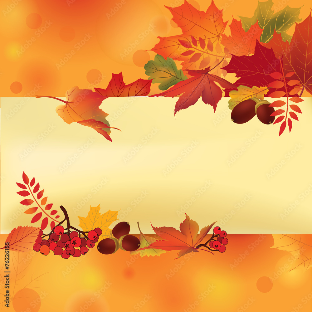 Wall mural autumn frame with leaves. fall background with copy space.
