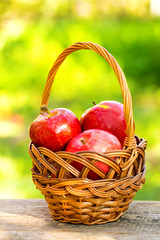 Organic apples in basket in summer grass. Fresh apples in nature
