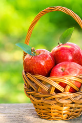 Organic apples in basket in summer grass. Fresh apples in nature