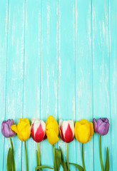 Beautiful flowers on color wooden background