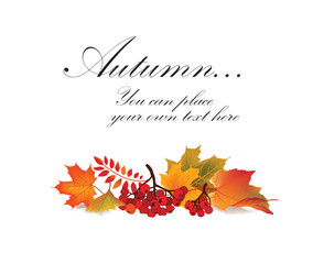 Autumn maple leaf vector frame with copy space on white background. Fall set.