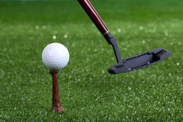 Golf ball and driver on green grass outdoor close up