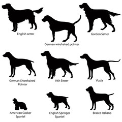 Dogs. Gun dog icon set vector silhouette collection.