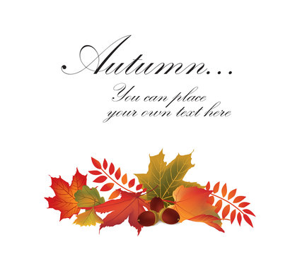 Autumn maple leaf frame.  Fall background collection. 
