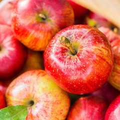 Fototapeta na wymiar Group of red apples
