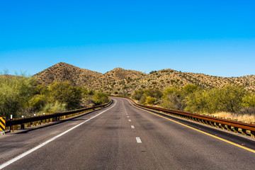 Cacti Road