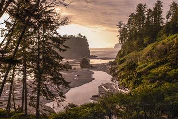 Ruby Beach Landscape