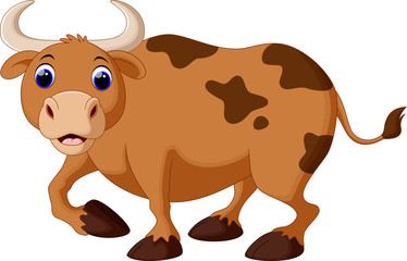 Cute cow cartoon
